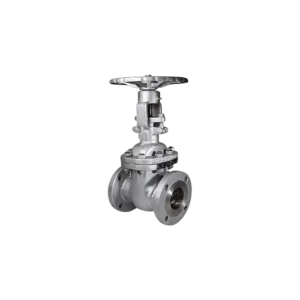 Válvula Compuerta Acero Carbono ASTM A-216 ANSI Clase 150 LBS 10"