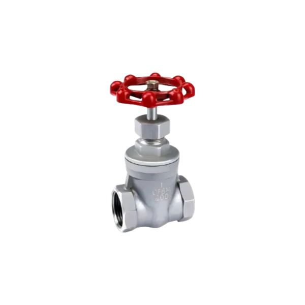 Válvula Compuerta Acero Inox 304 200 PSI C/Hilo NPT 4"