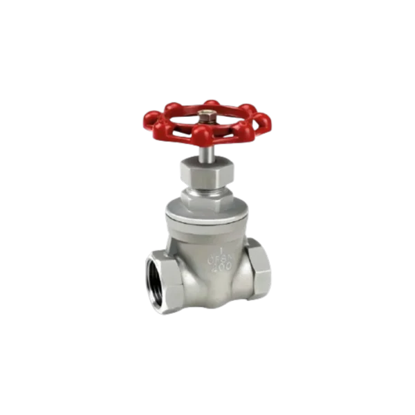 Válvula Compuerta Acero Inox 316 200 PSI C/Hilo NPT 2"