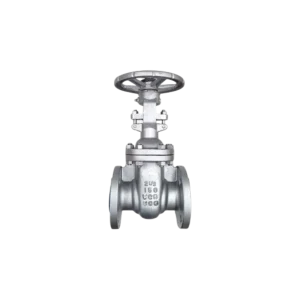 Válvula Compuerta Acero Inox 316 Con Flange ANSI Clase 150 LBS Válvula Compuerta Acero Inox 316 C/Flange ANSI Clase 150 LBS 10"