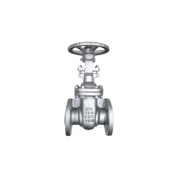 Válvula Compuerta Acero Inox 316 C/Flange ANSI Clase 150 LBS 4"